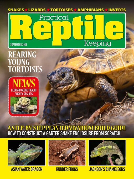 Cover image for Practical Reptile Keeping